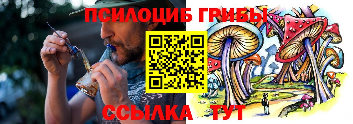 Галлюциногенные грибы Psilocybine cubensis  Галлюциногенные грибы мицелий  Вход с VPN  Буйнакск 